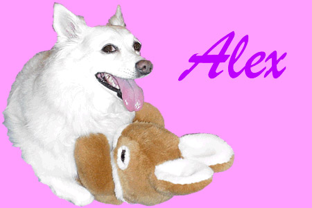 Alex's Funny Bone Home Page