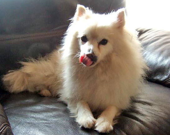 Lick!