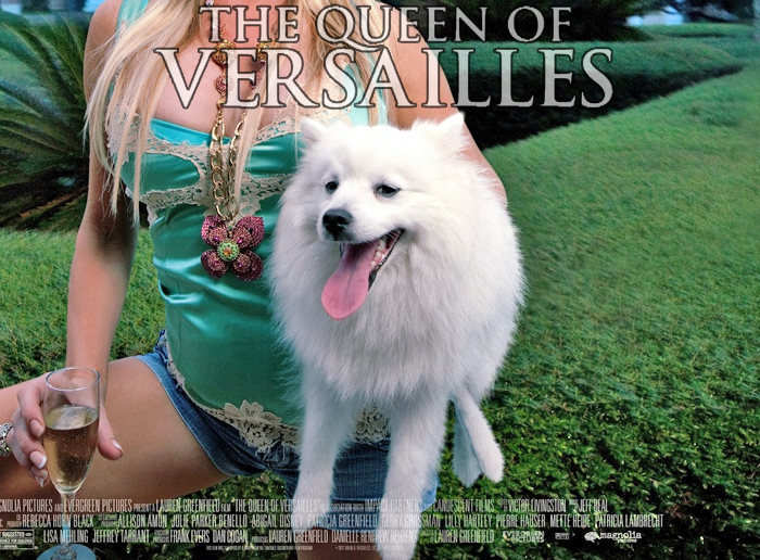 Queen of Versailles poster - Eskie Dog